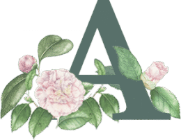 single-image-14 single-image-14