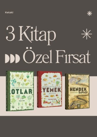 3kitap
